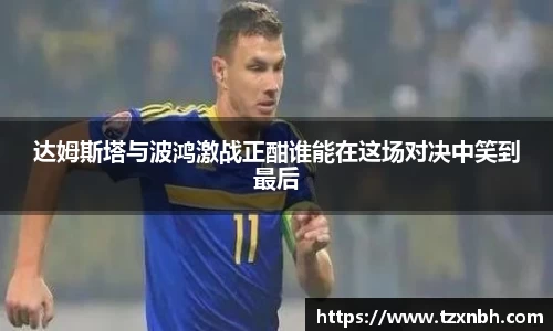 彩神vll官方网站